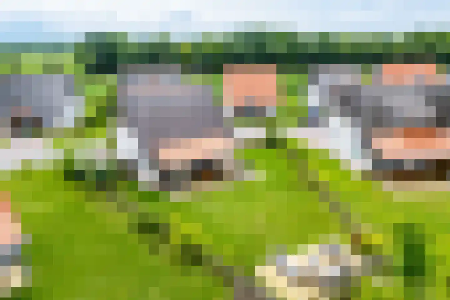 Zeedijk 24 348 Nieuwvliet thumbnail 7