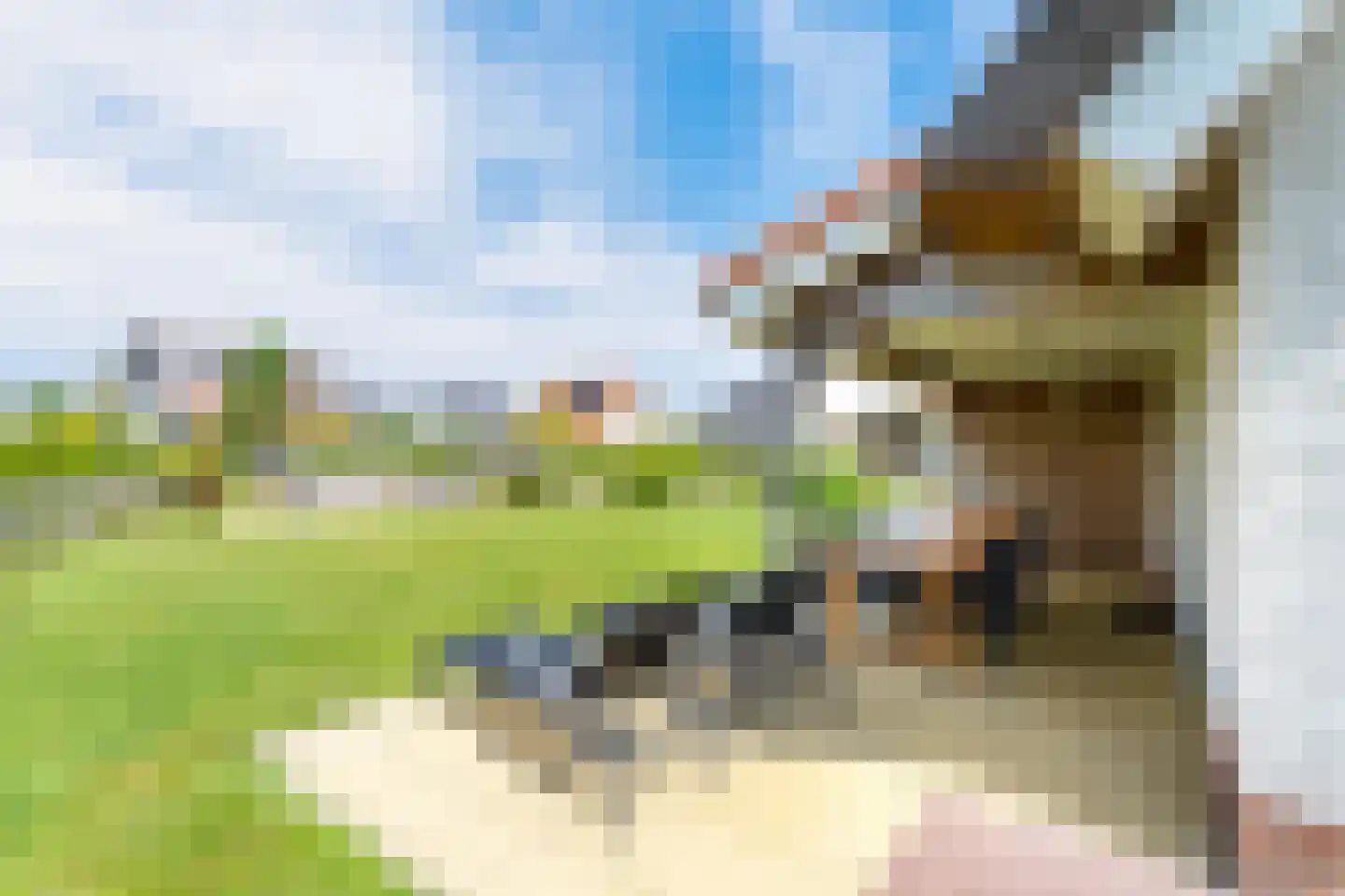 Zeedijk 24 348 Nieuwvliet thumbnail 8
