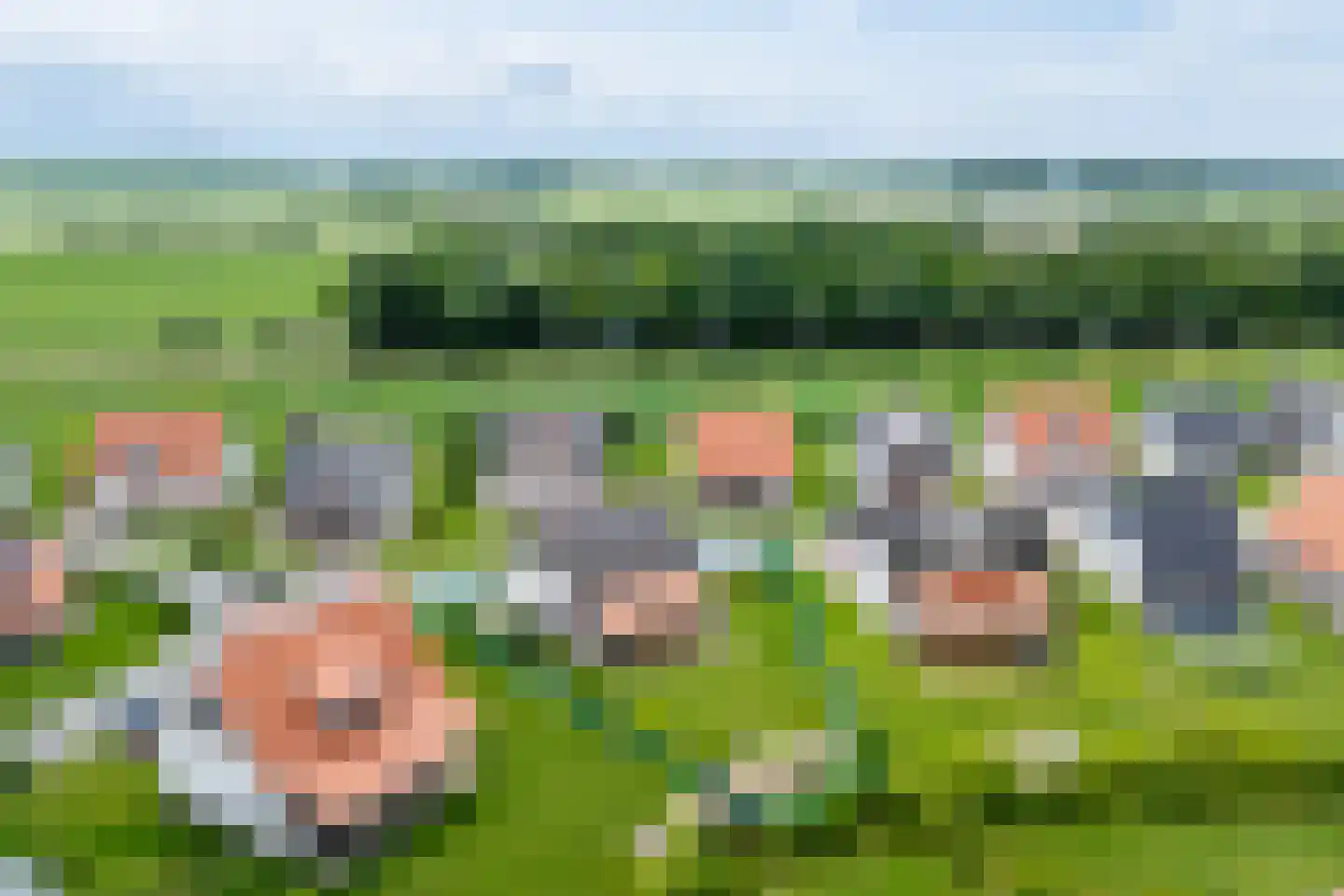 Zeedijk 24 348 Nieuwvliet thumbnail 9