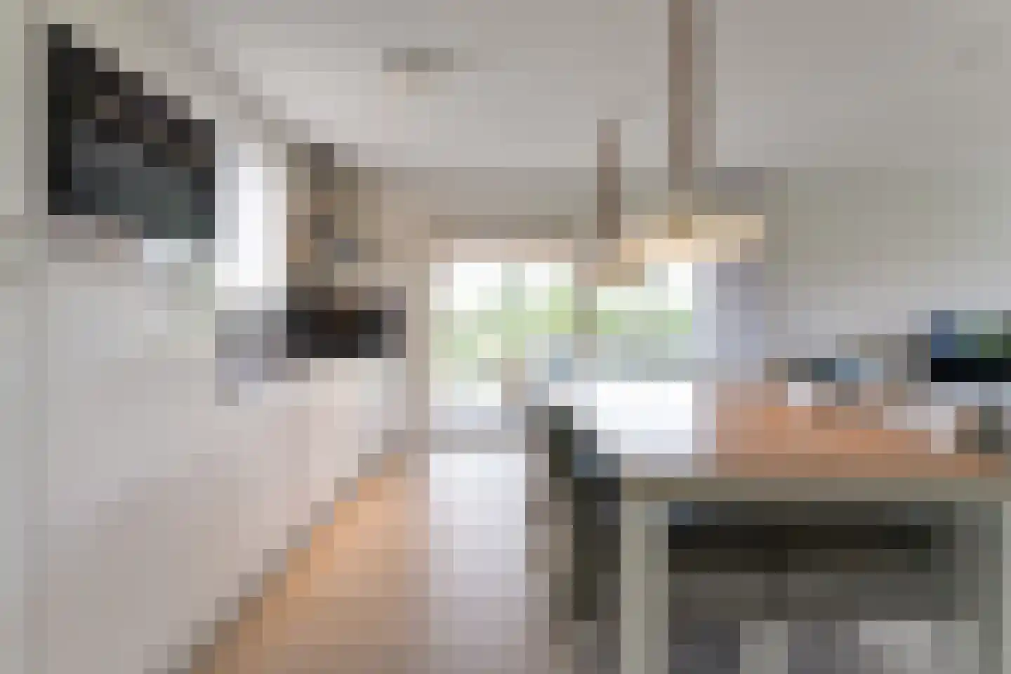 Zeedijk 24 353 Nieuwvliet thumbnail 15