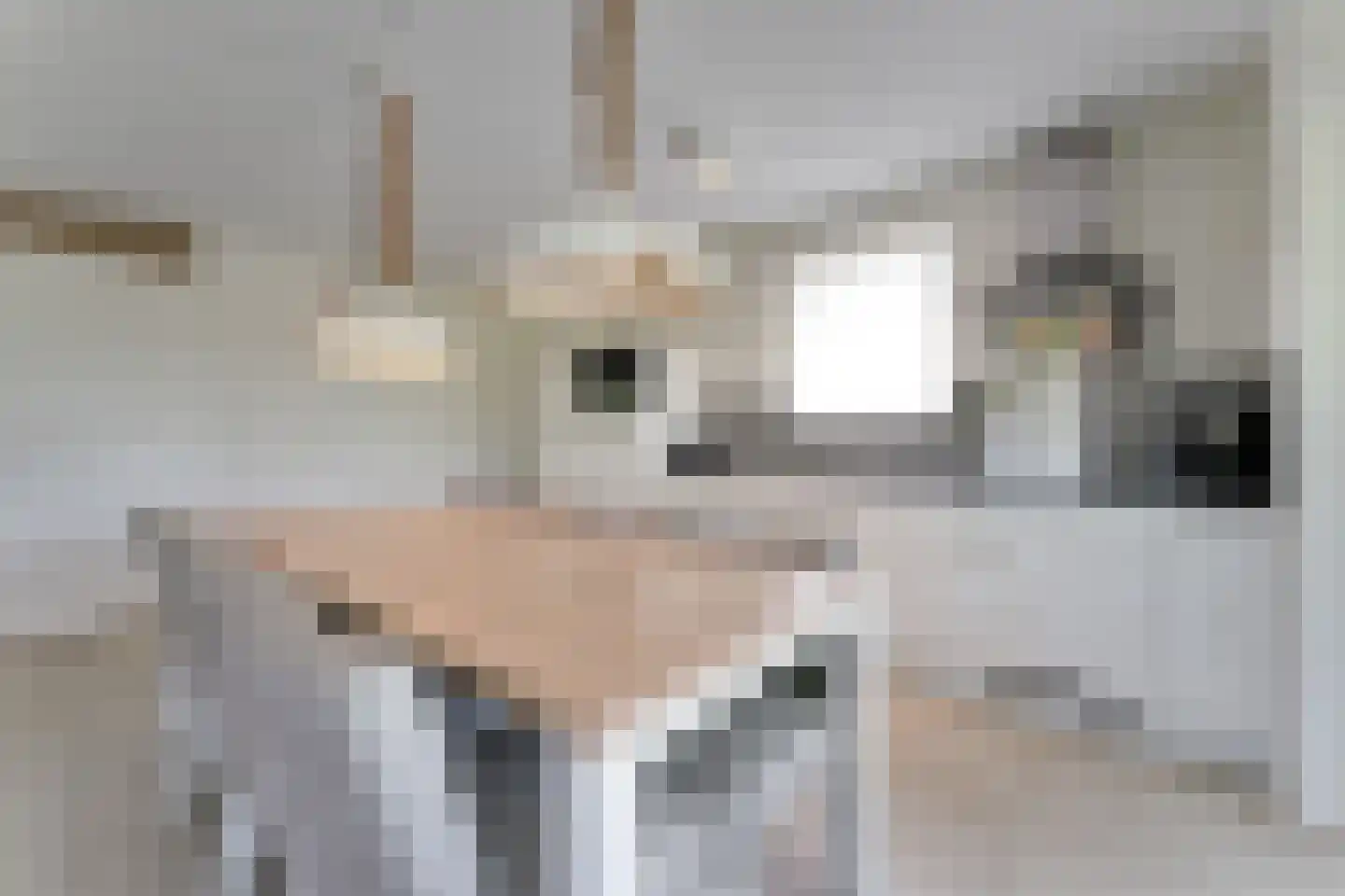 Zeedijk 24 353 Nieuwvliet thumbnail 17