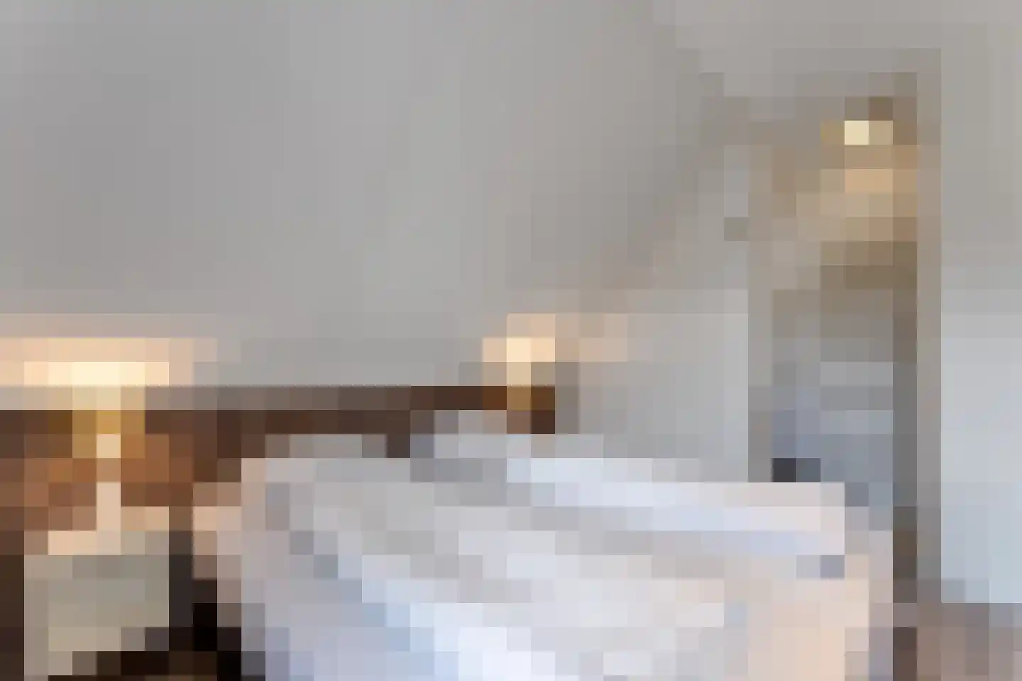 Zeedijk 24 353 Nieuwvliet thumbnail 19