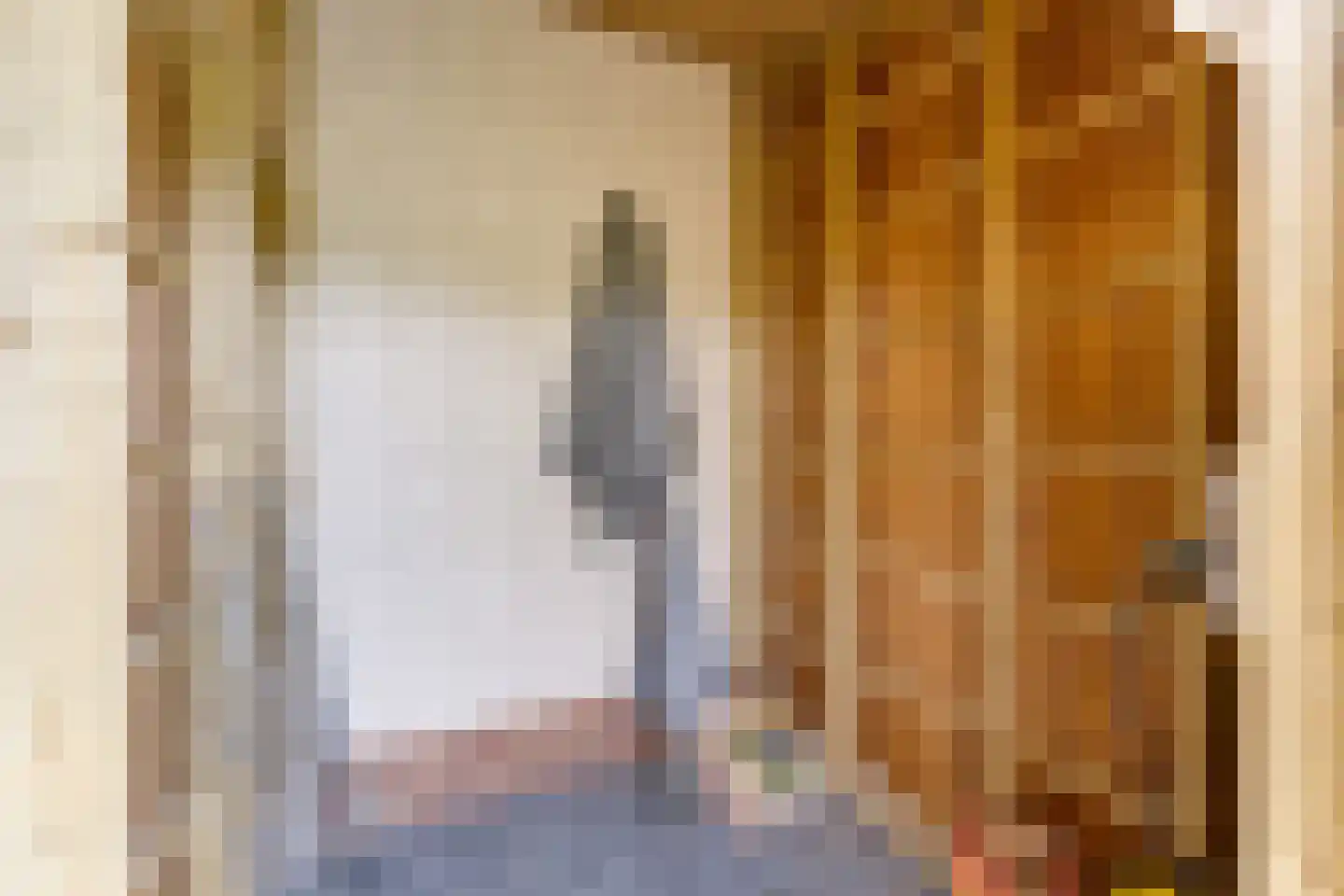 Zeedijk 24 353 Nieuwvliet thumbnail 26