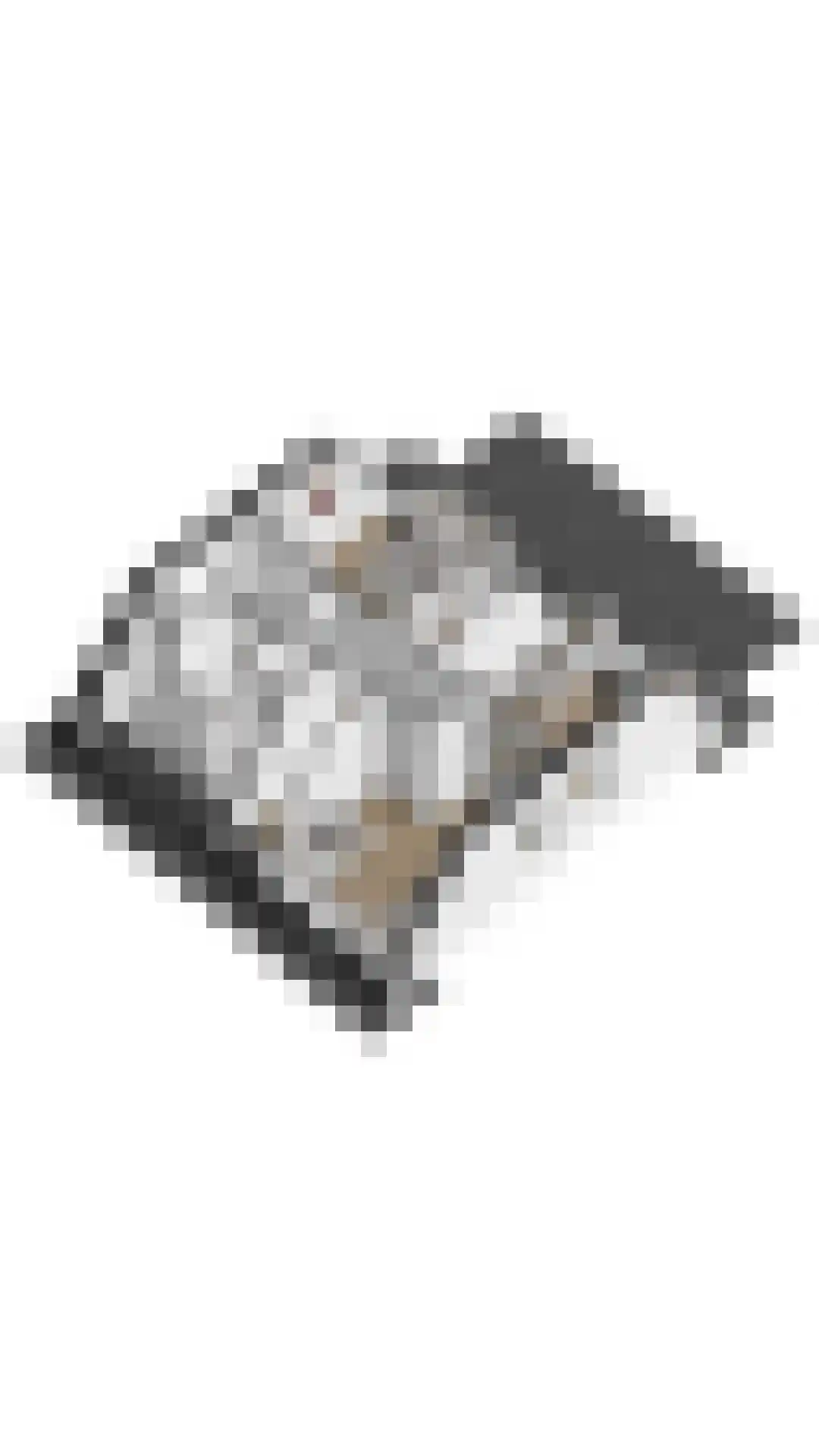 Zeedijk 24 353 Nieuwvliet thumbnail 32