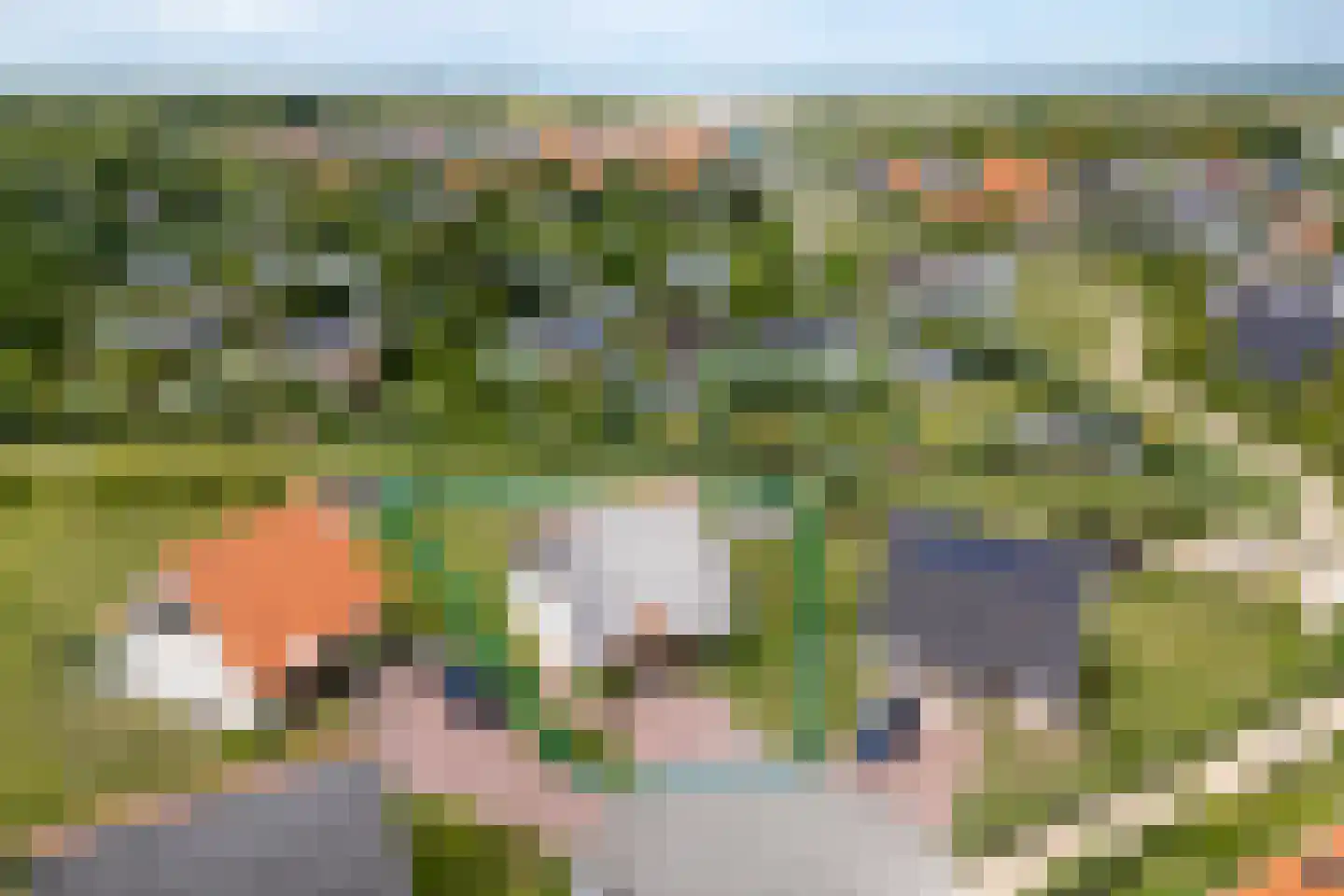 Zeedijk 24 353 Nieuwvliet thumbnail 5