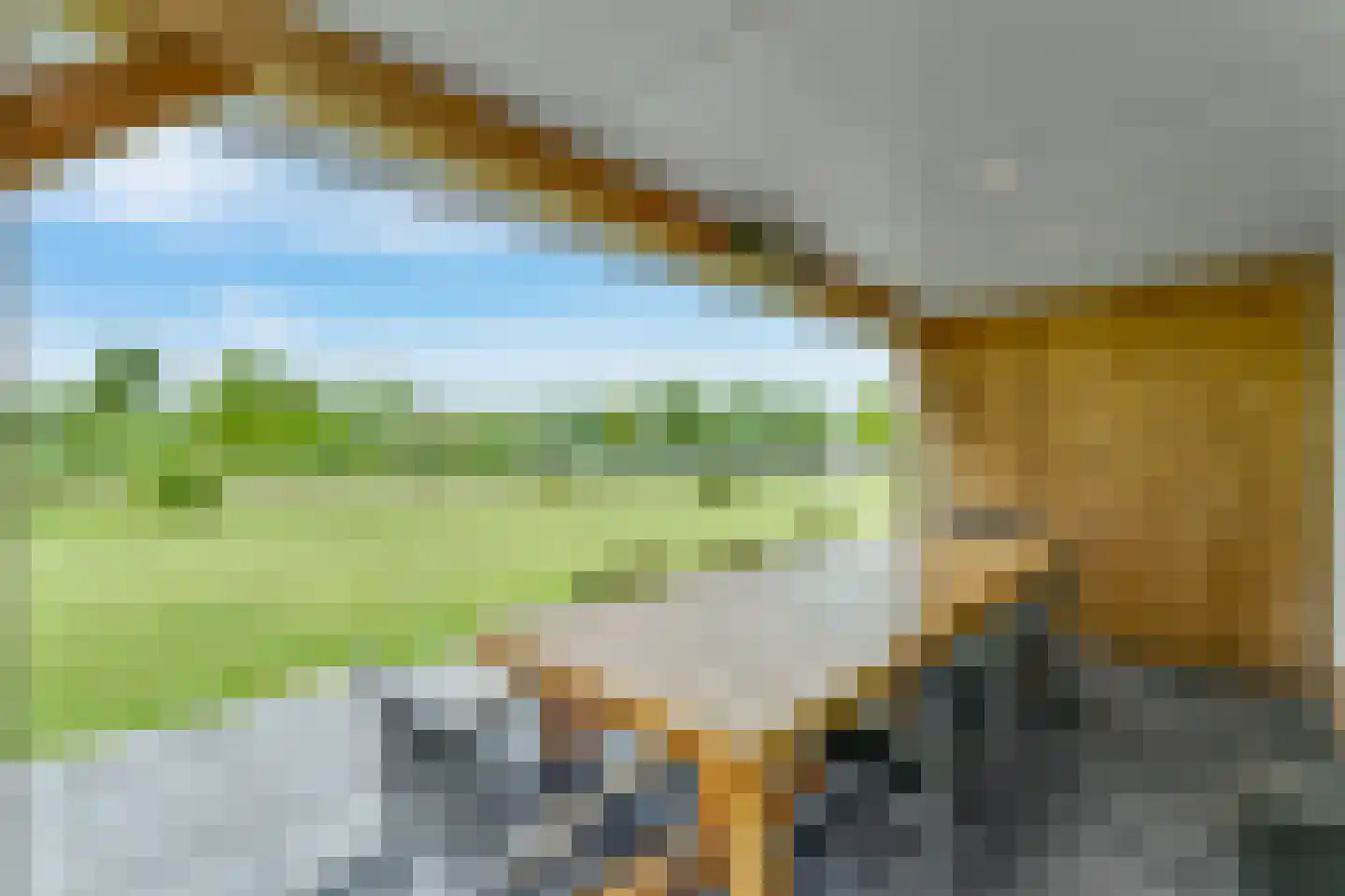 Zeedijk 24 353 Nieuwvliet thumbnail 8