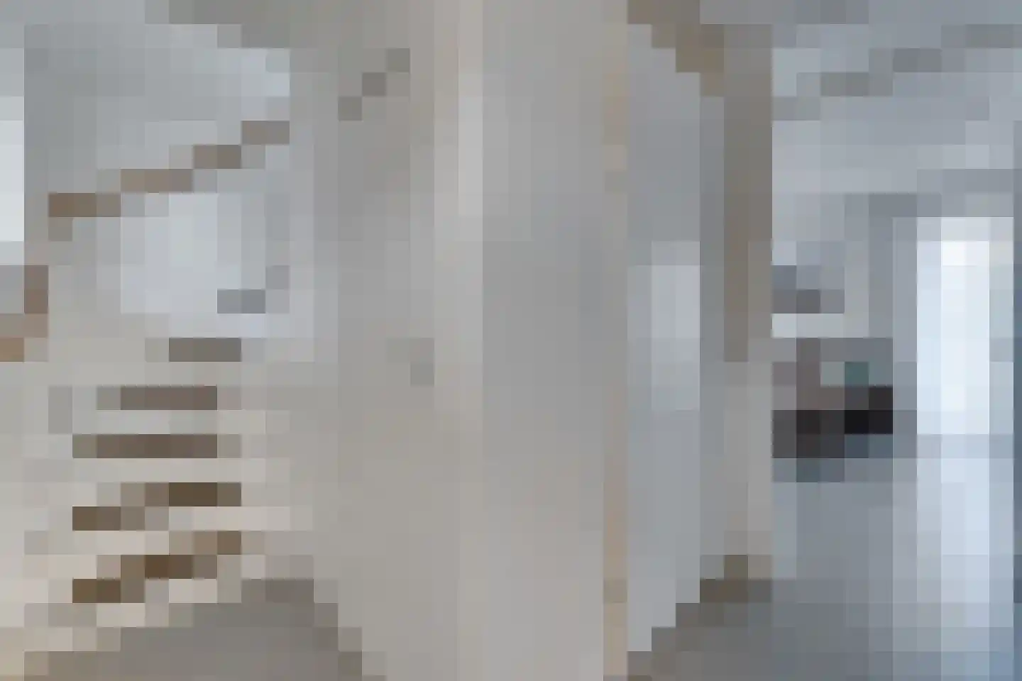 Zeedijk 24 365 Nieuwvliet thumbnail 10
