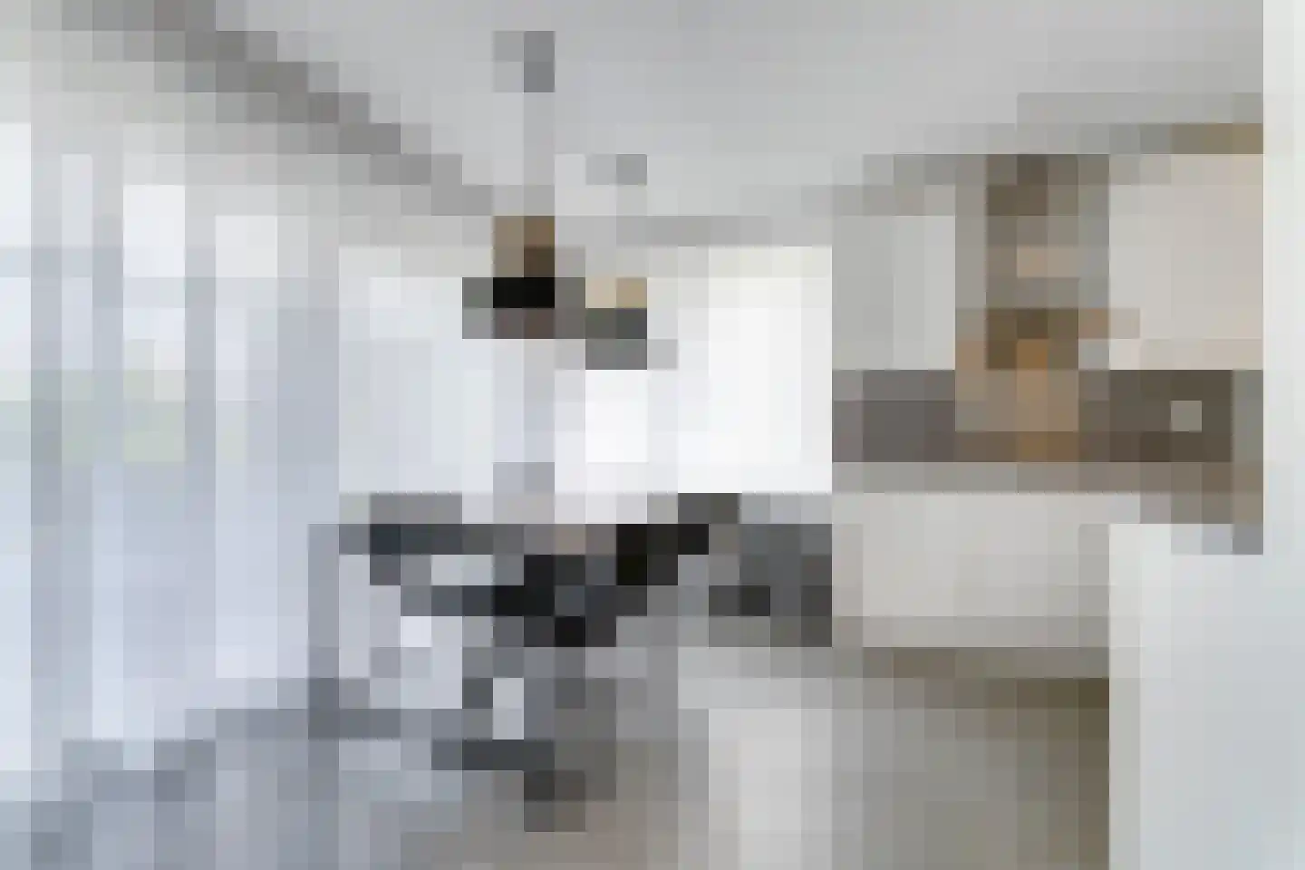 Zeedijk 24 365 Nieuwvliet thumbnail 13
