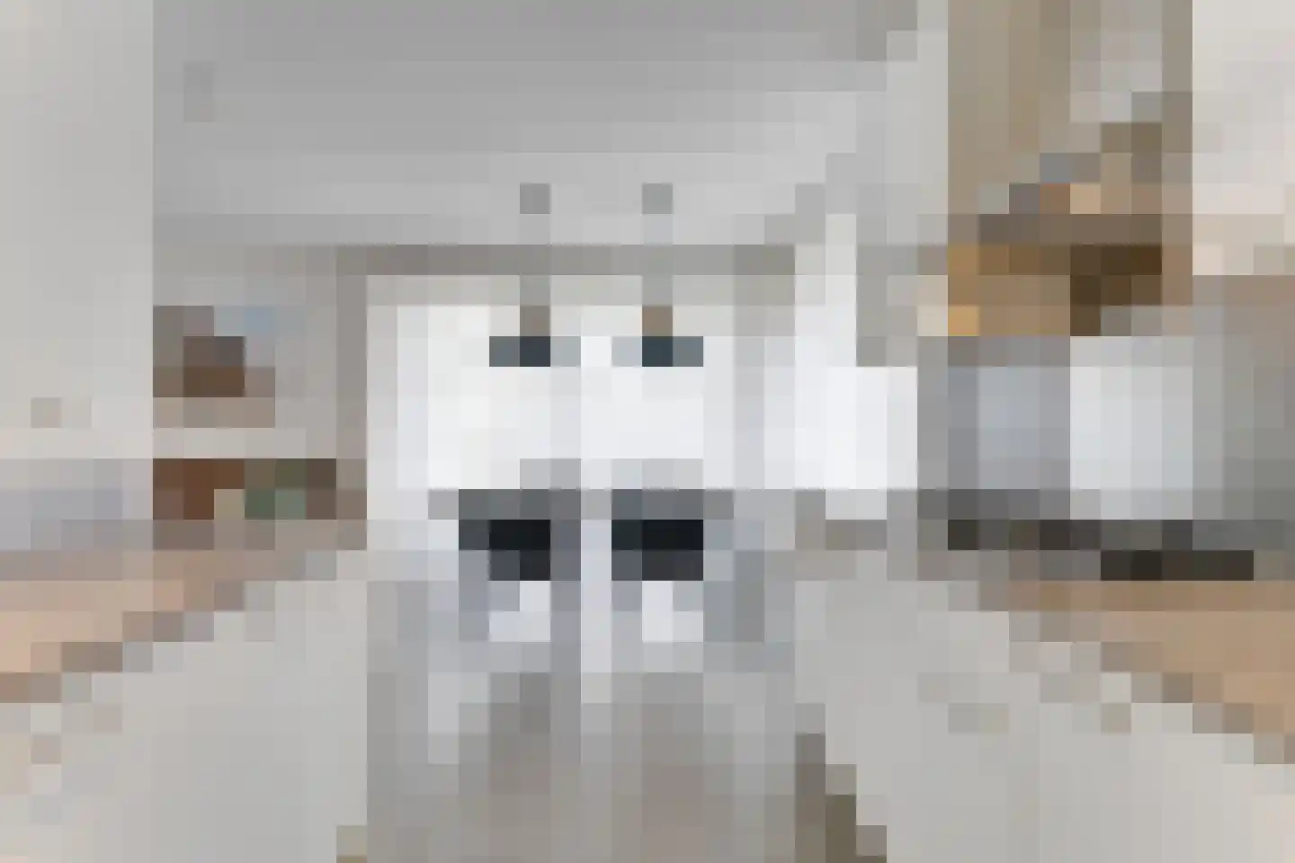 Zeedijk 24 365 Nieuwvliet thumbnail 14