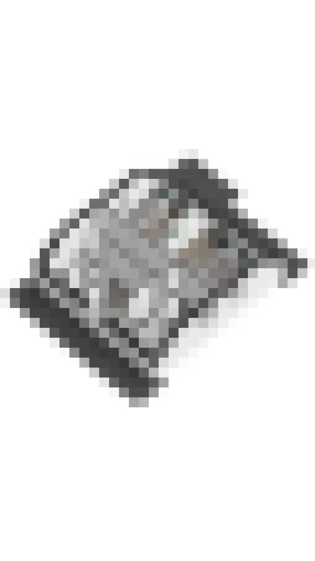 Zeedijk 24 365 Nieuwvliet thumbnail 30