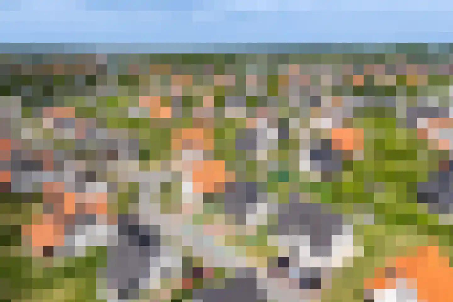 Zeedijk 24 365 Nieuwvliet thumbnail 7