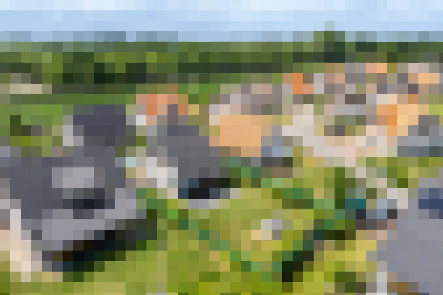 Zeedijk 24 365 Nieuwvliet thumbnail 8