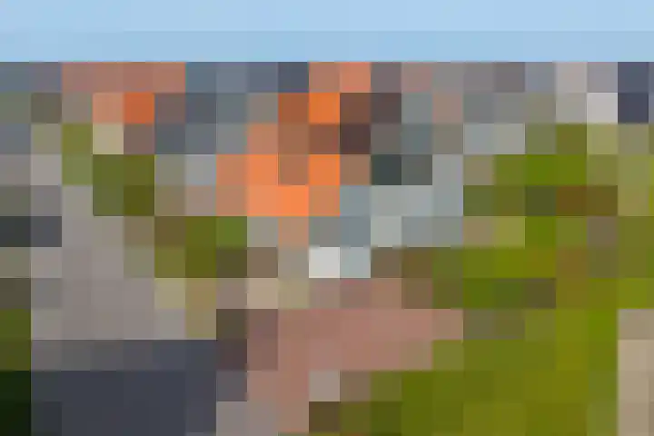 Zeedijk 24 373 en Nieuwvliet