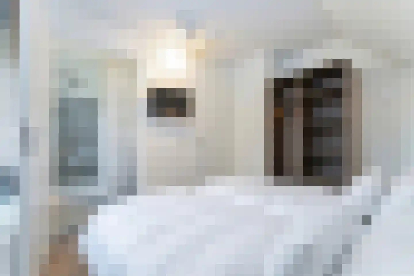Zeedijk 24 373 Nieuwvliet thumbnail 13