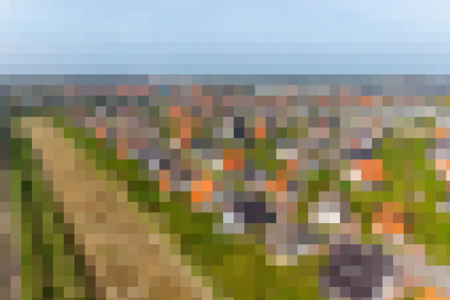 Zeedijk 24 373 Nieuwvliet thumbnail 22