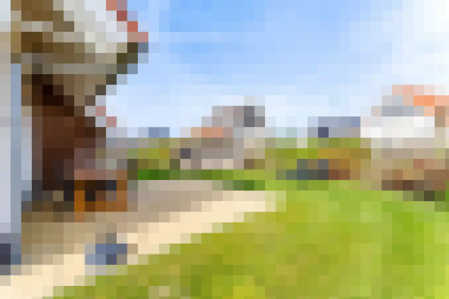 Zeedijk 24 373 Nieuwvliet thumbnail 4