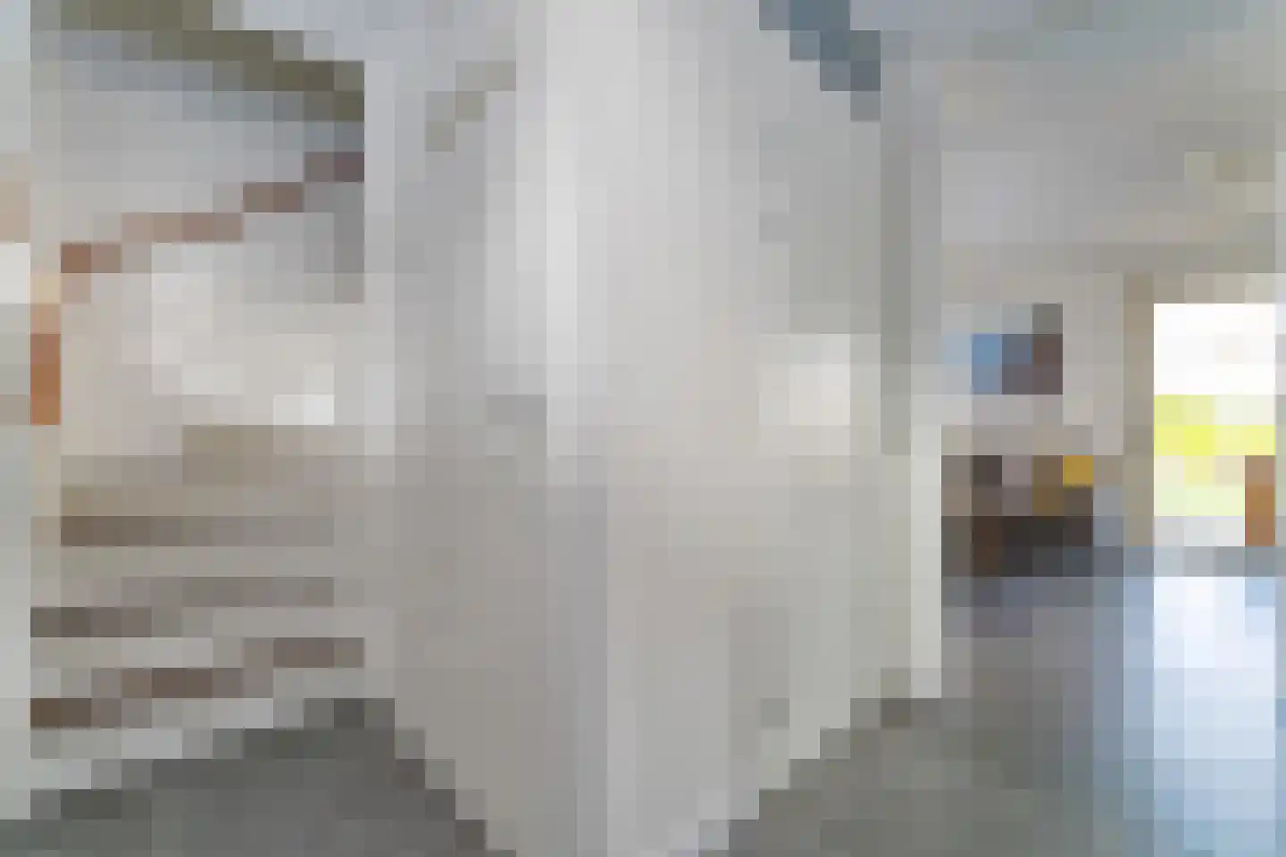 Zeedijk 24 373 Nieuwvliet thumbnail 8