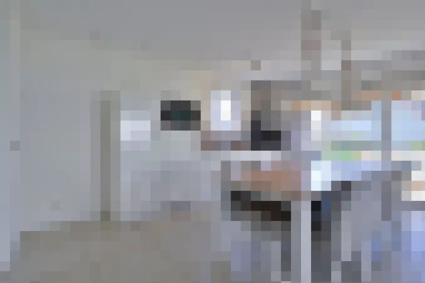Zeedijk 24 394 Nieuwvliet thumbnail 11