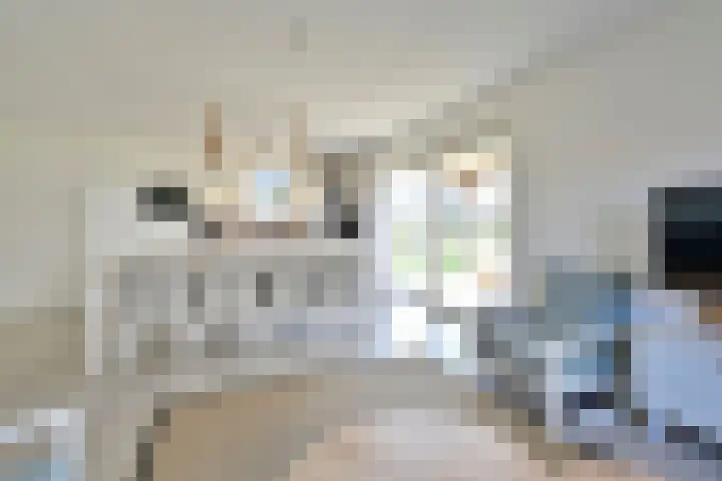Zeedijk 24 394 Nieuwvliet thumbnail 13
