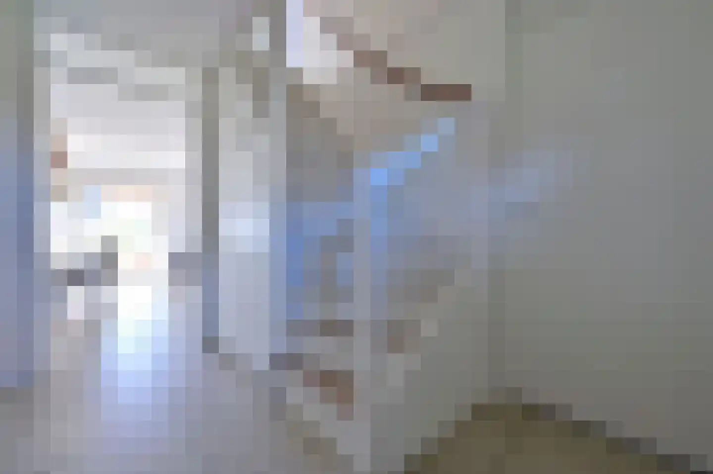 Zeedijk 24 394 Nieuwvliet thumbnail 20