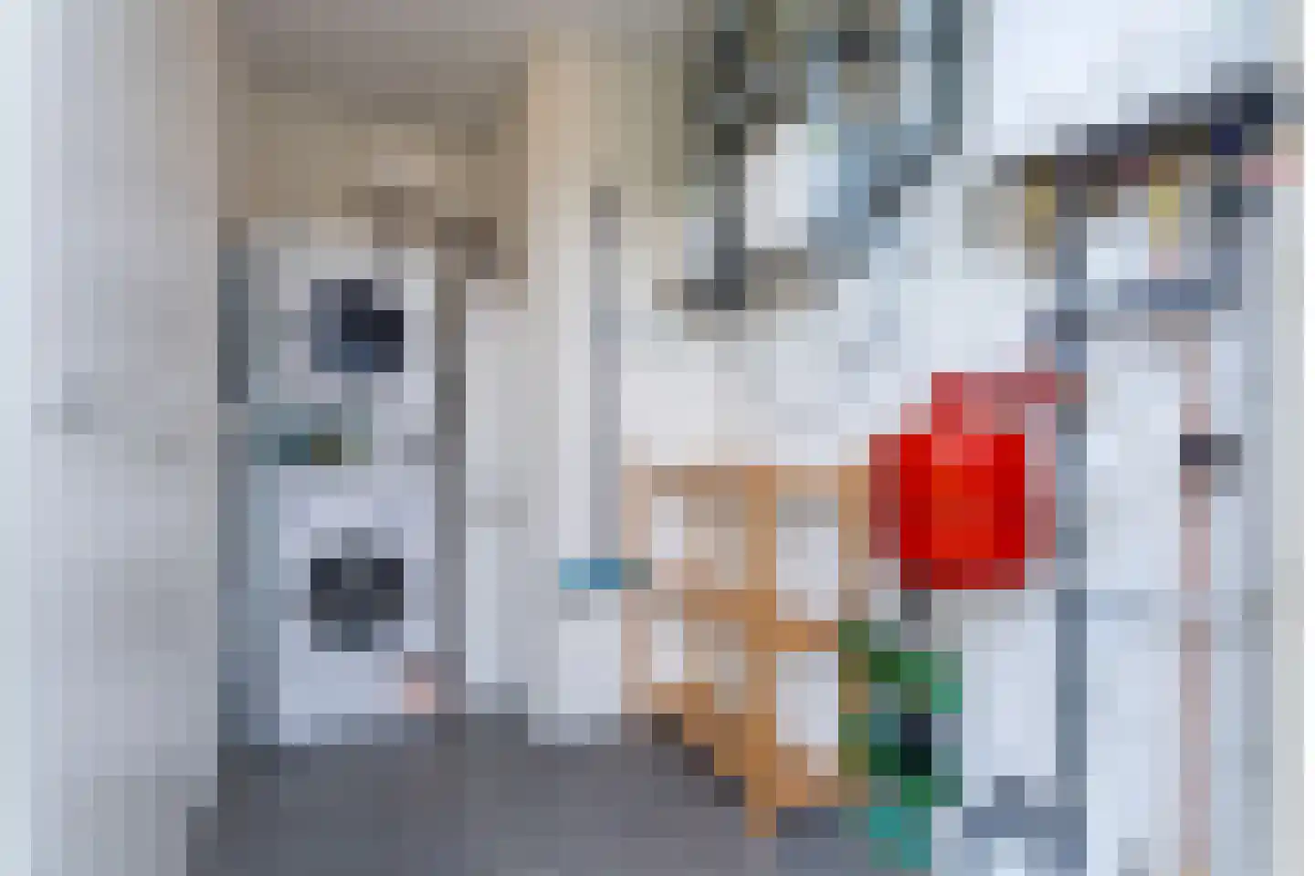 Zeedijk 24 396 Nieuwvliet thumbnail 19