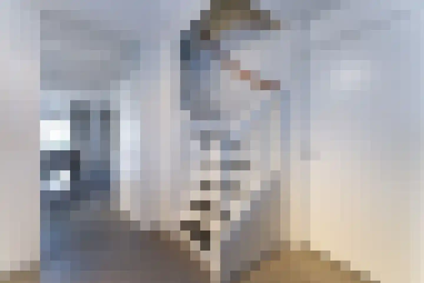 Zeedijk 24 396 Nieuwvliet thumbnail 20