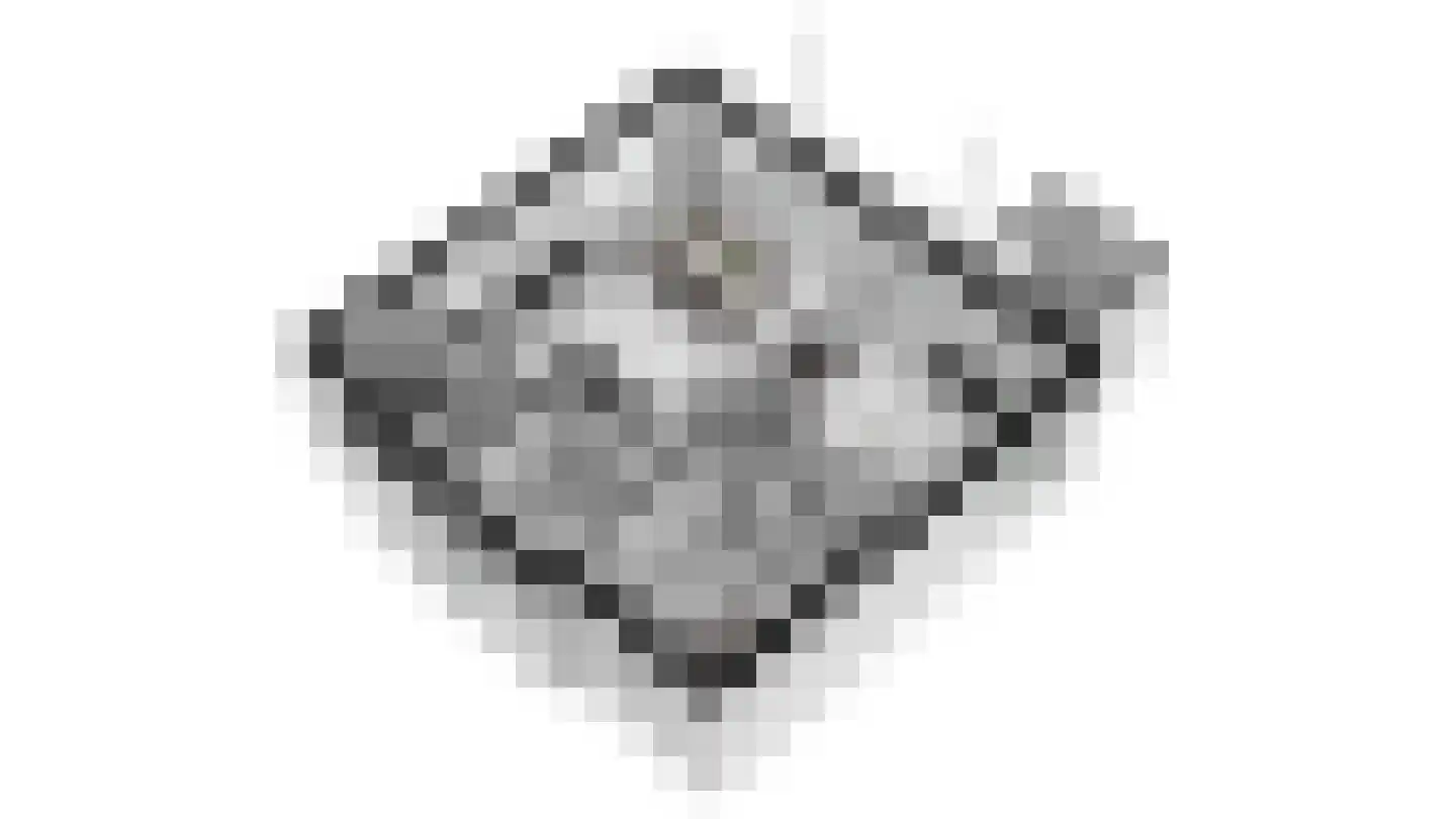 Zeedijk 24 396 Nieuwvliet thumbnail 35