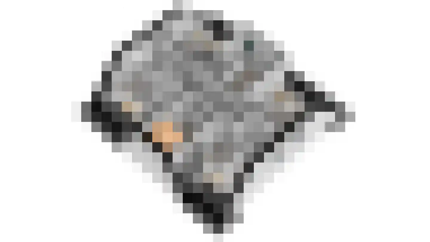 Zeedijk 24 396 Nieuwvliet thumbnail 36