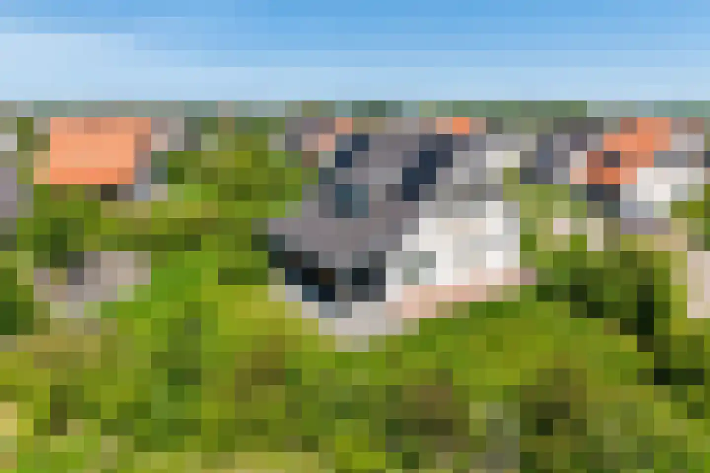 Zeedijk 24 396 Nieuwvliet thumbnail 5