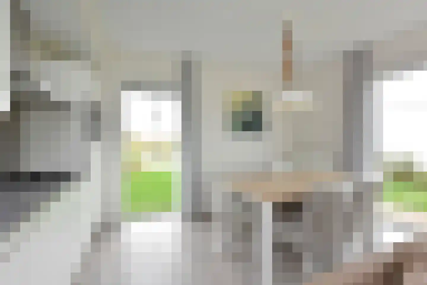 Zeedijk 24 407 Nieuwvliet thumbnail 10
