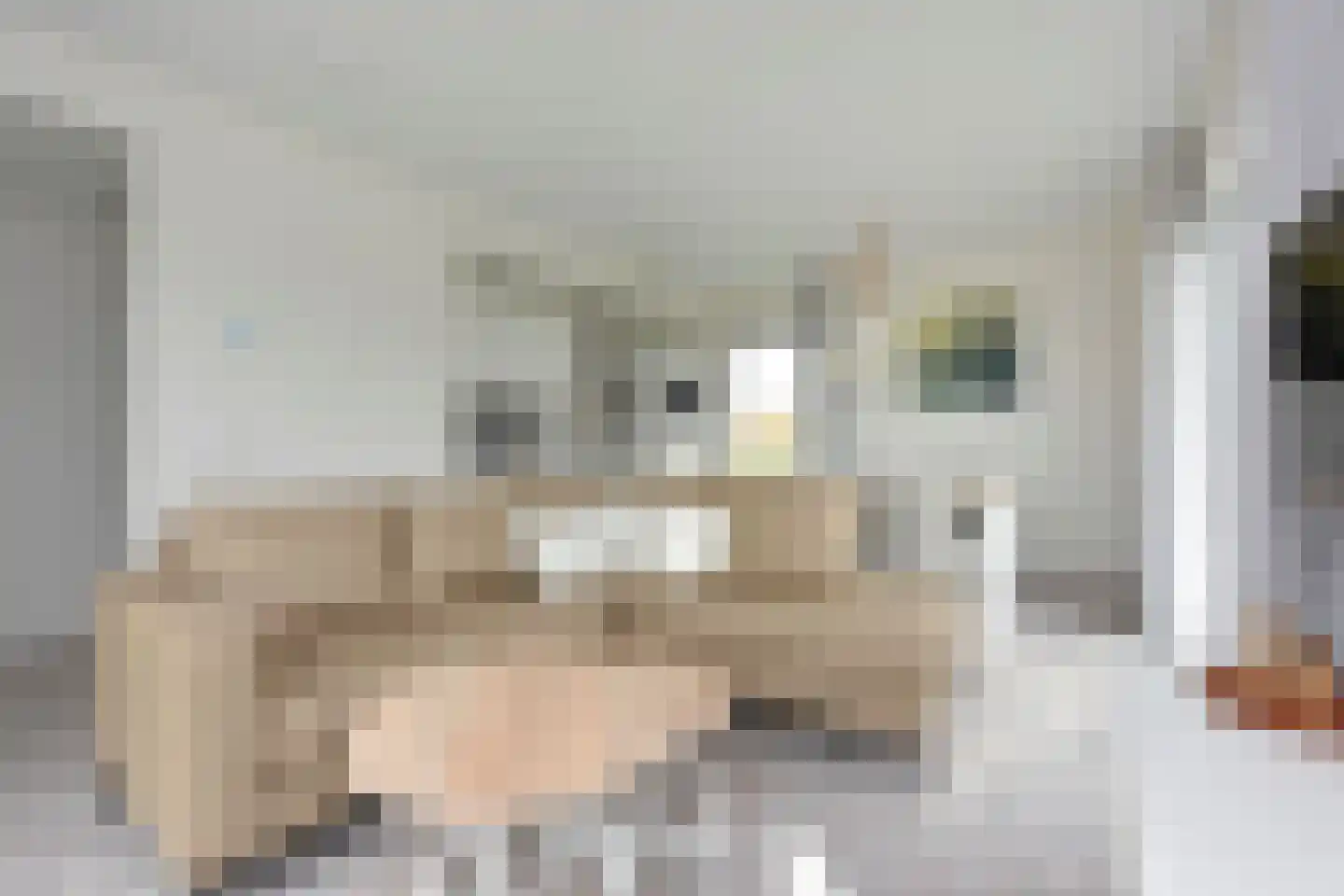 Zeedijk 24 407 Nieuwvliet thumbnail 11