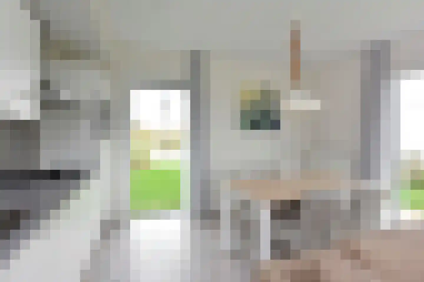 Zeedijk 24 407 Nieuwvliet thumbnail 11