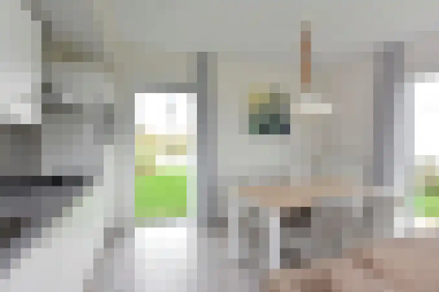 Zeedijk 24 407 Nieuwvliet thumbnail 14