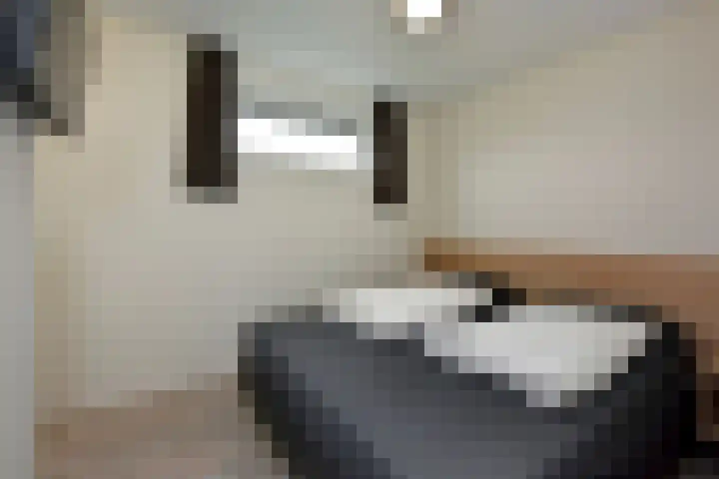 Zeedijk 24 407 Nieuwvliet thumbnail 16