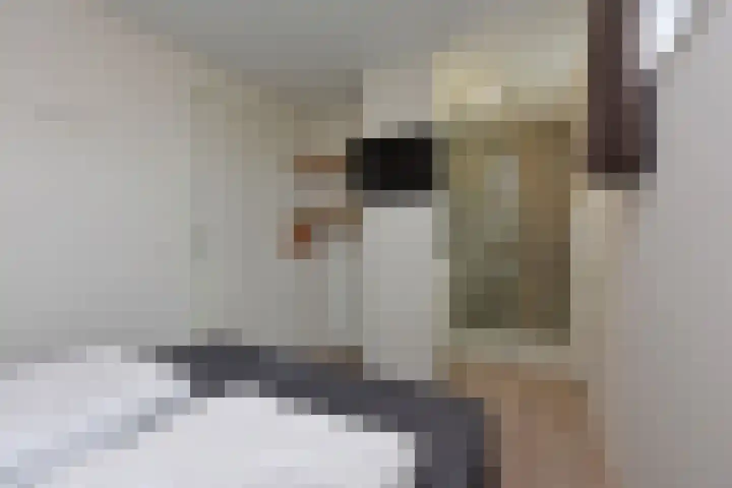 Zeedijk 24 407 Nieuwvliet thumbnail 17
