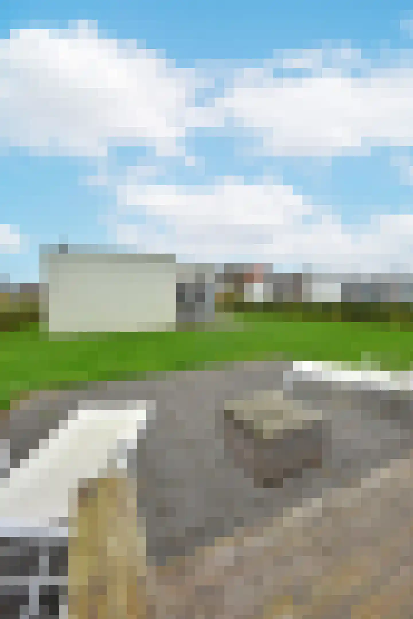 Zeedijk 24 407 Nieuwvliet thumbnail 22