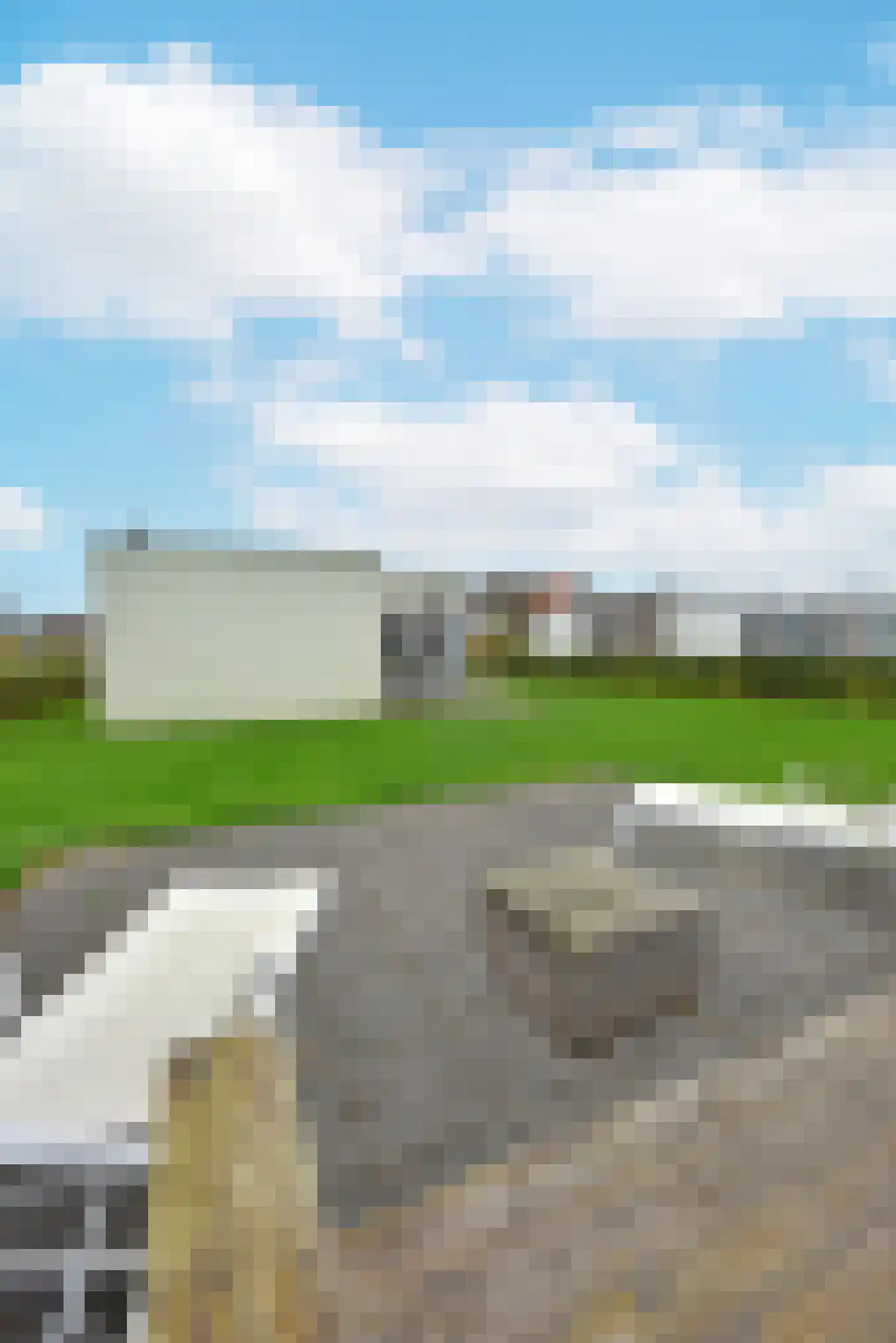 Zeedijk 24 407 Nieuwvliet thumbnail 25