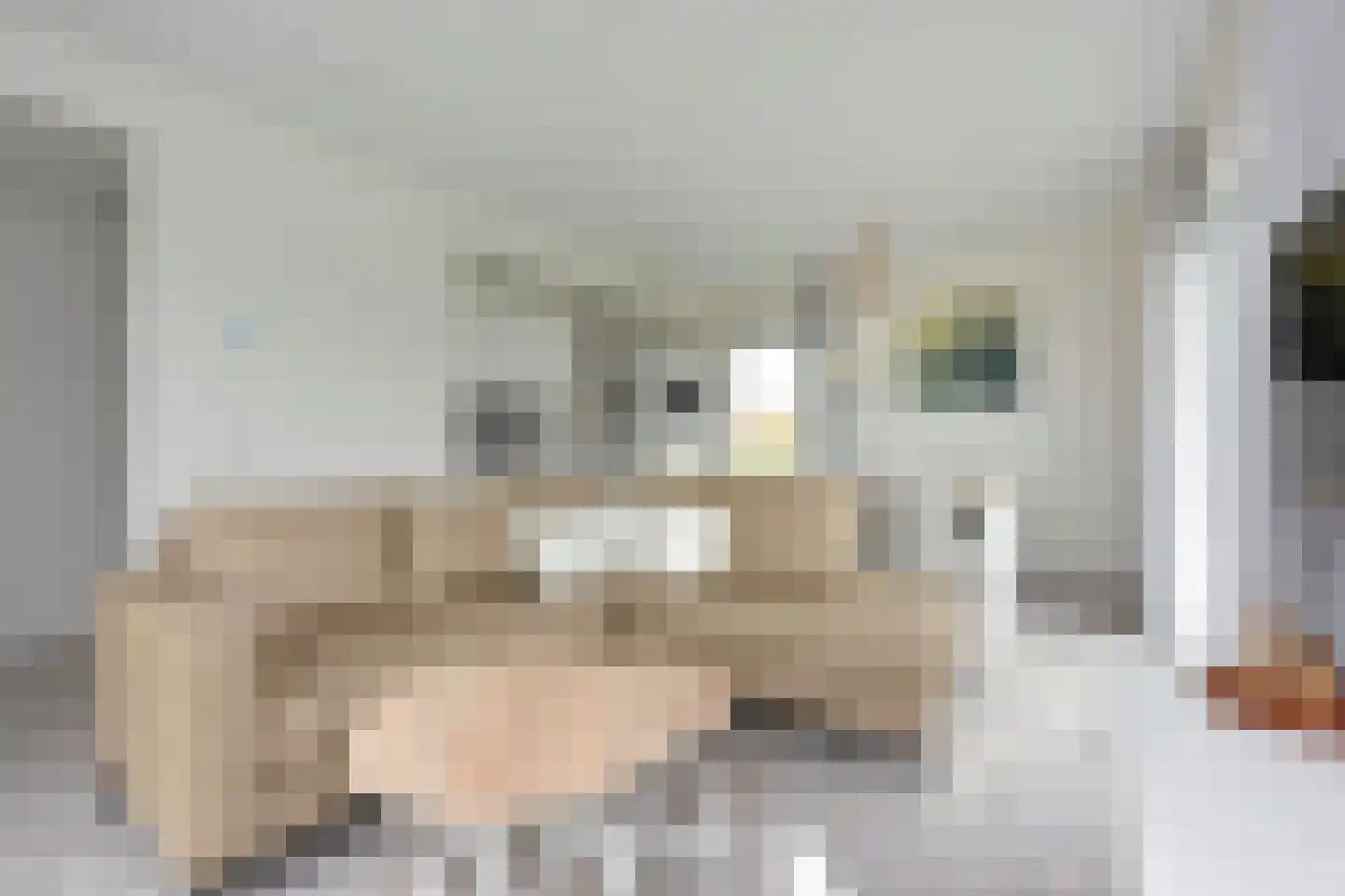 Zeedijk 24 407 Nieuwvliet thumbnail 8