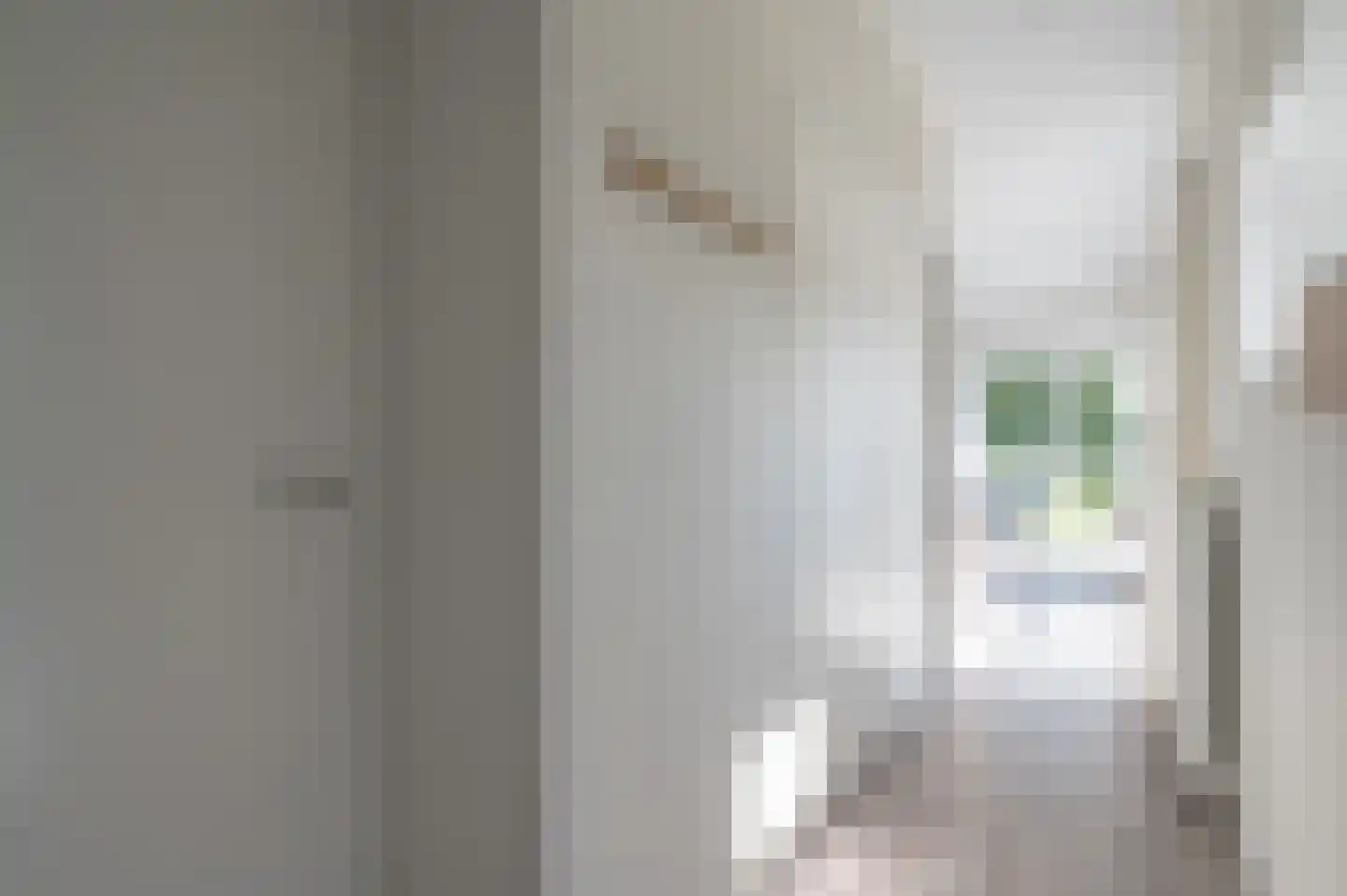Zeedijk 24 416 Nieuwvliet thumbnail 15