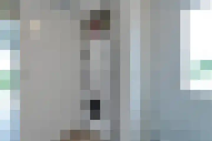 Zeedijk 24 417 Nieuwvliet thumbnail 12