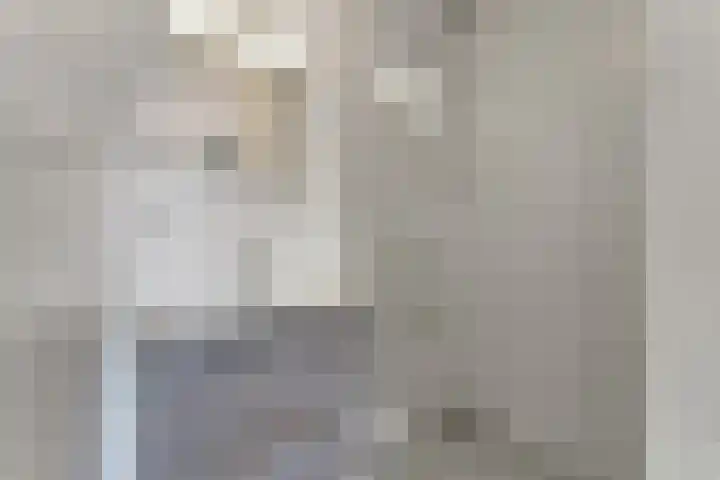 Zeedijk 24 417 Nieuwvliet thumbnail 13