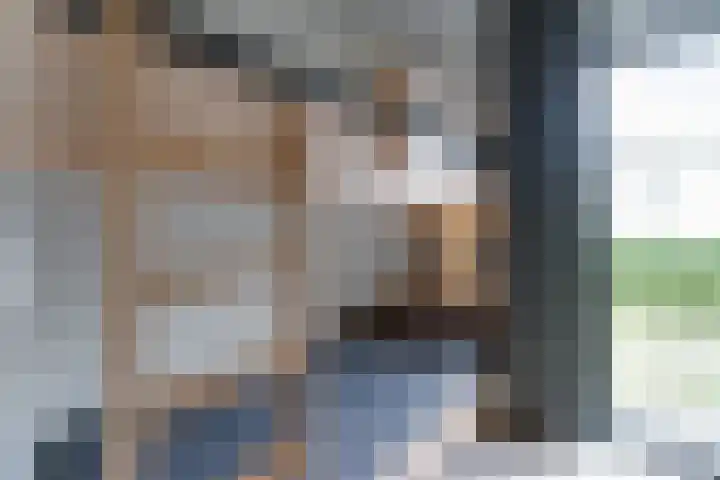 Zeedijk 24 417 Nieuwvliet thumbnail 14