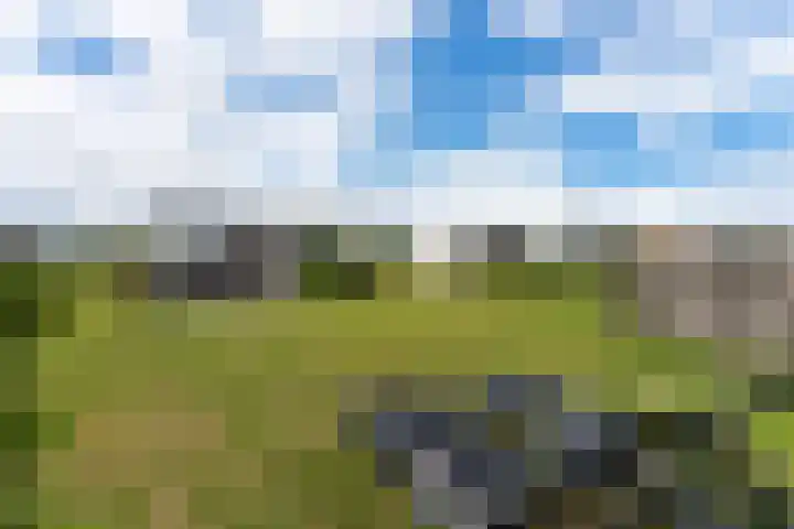 Zeedijk 24 417 Nieuwvliet thumbnail 17