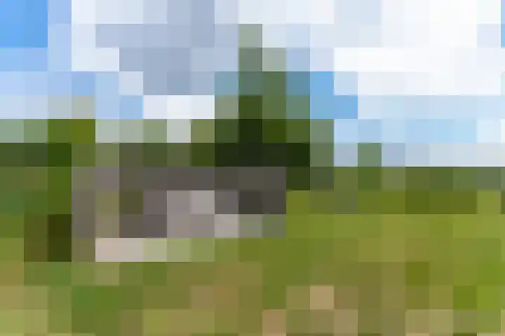 Zeedijk 24 417 Nieuwvliet thumbnail 18