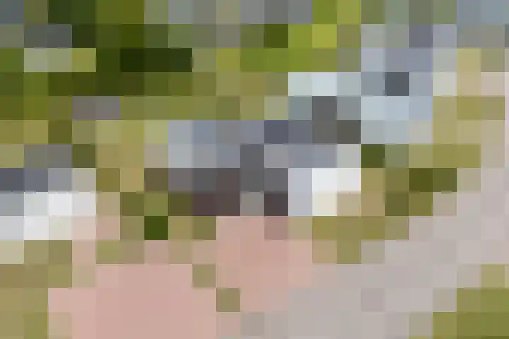 Zeedijk 24 417 Nieuwvliet thumbnail 19