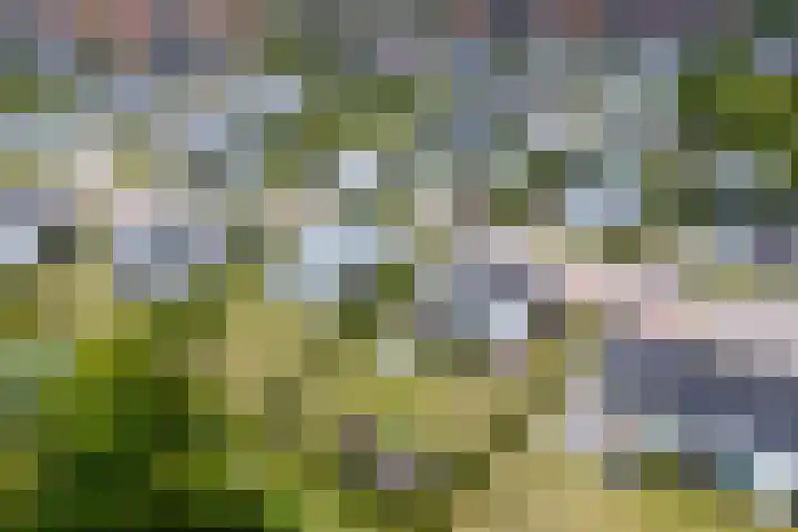 Zeedijk 24 417 Nieuwvliet thumbnail 21