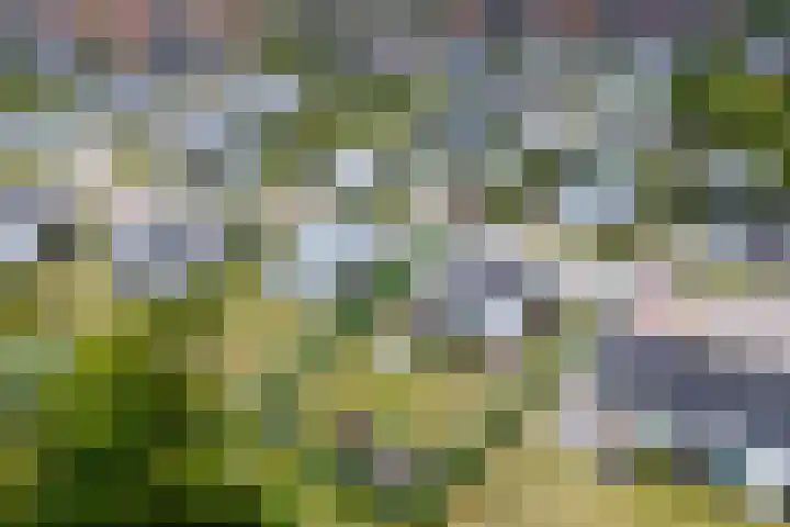 Zeedijk 24 417 Nieuwvliet thumbnail 22