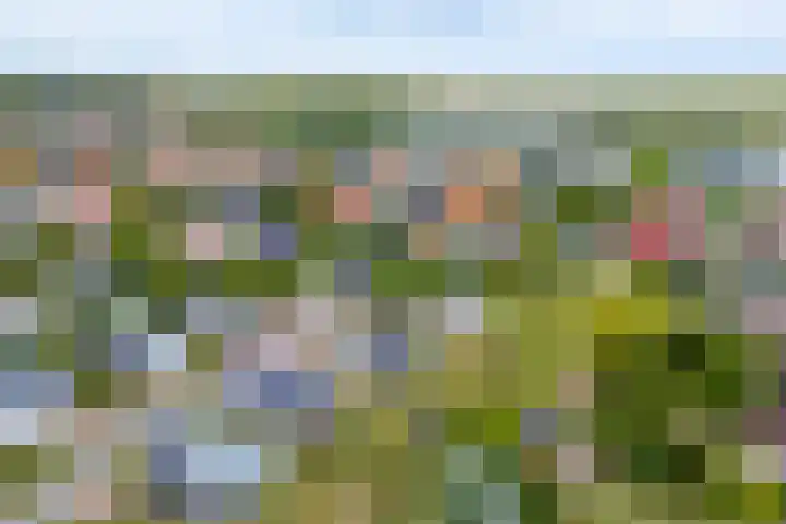 Zeedijk 24 417 Nieuwvliet thumbnail 23