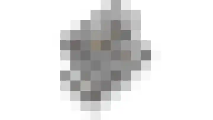 Zeedijk 24 417 Nieuwvliet thumbnail 25