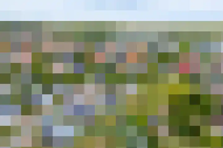 Zeedijk 24 417 Nieuwvliet thumbnail 5